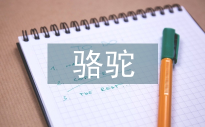駱駝祥子好句