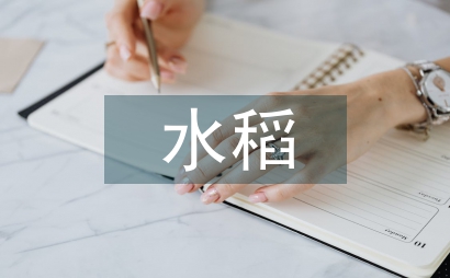水稻栽培農業技術要點