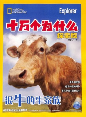 語文報(bào)