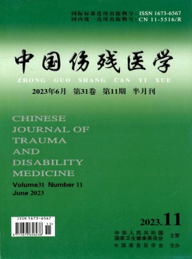 中國傷殘醫(yī)學期刊