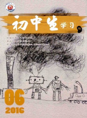 初中生學(xué)習(xí)(低)